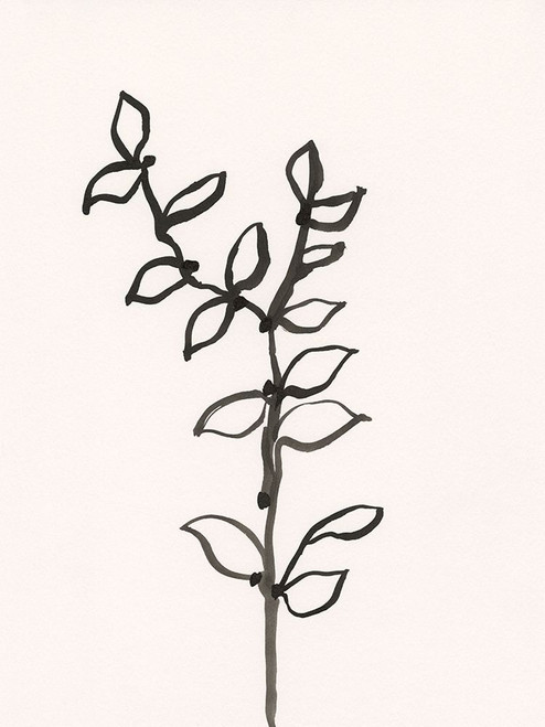 Ink Botanical Sketch X Poster Print - J. Holland