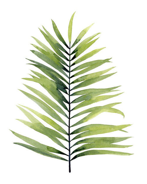 Palm Water II Poster Print - Grace Popp