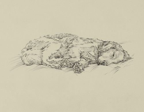 Golden Sketch III Poster Print - Ethan Harper