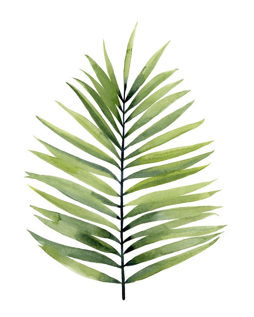 Palm Water I Poster Print - Grace Popp