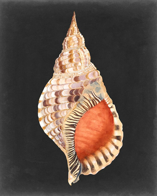 Graphic Grand Triton Poster Print - Michael Willett