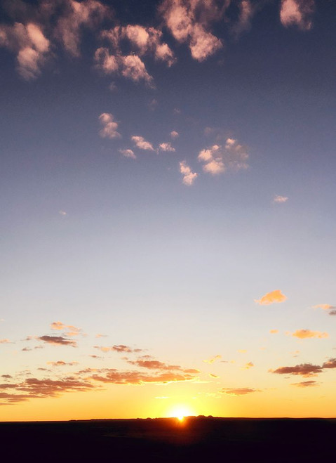 Goodbye Sun Poster Print - Anna Coppel