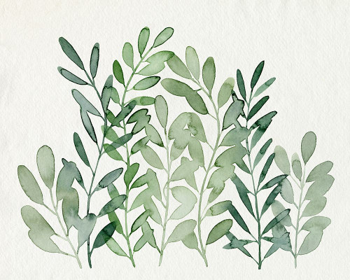 Foraged Greens II Poster Print - Grace Popp