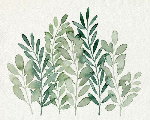 Foraged Greens I Poster Print - Grace Popp