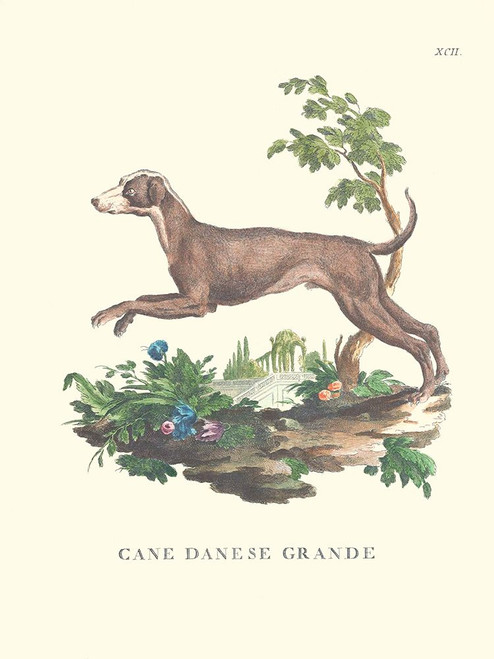 French Dogs I Poster Print - Unknown