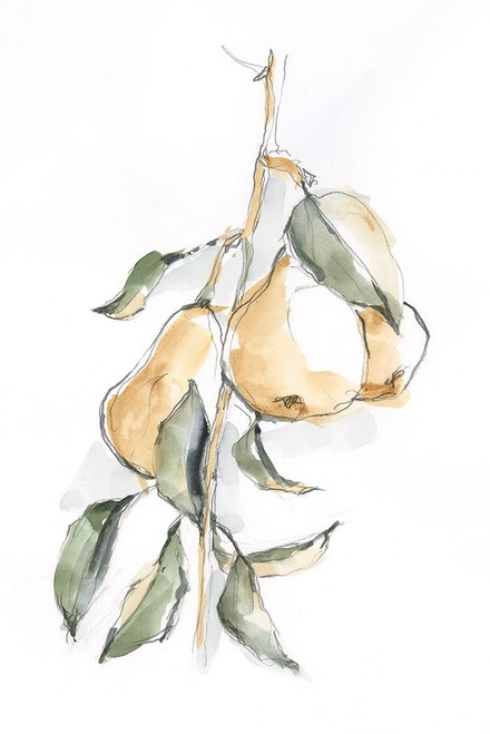 Watercolor Fruit Contour I Poster Print - Ethan Harper