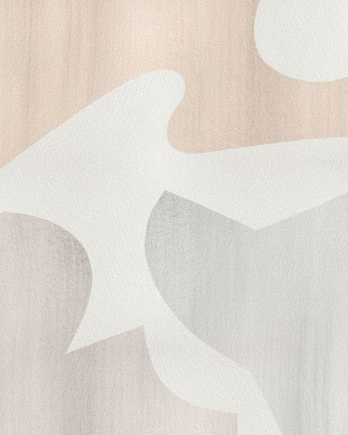 Shaping Soft IV Poster Print - Grace Popp