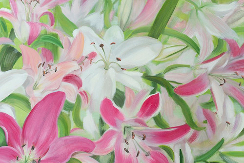 Pink and White Lilies II Poster Print - Sandra Iafrate