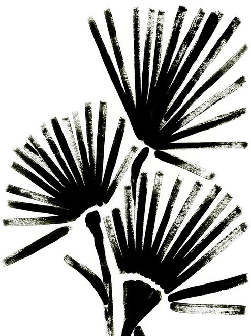 Fan Brush I Poster Print - June Erica Vess