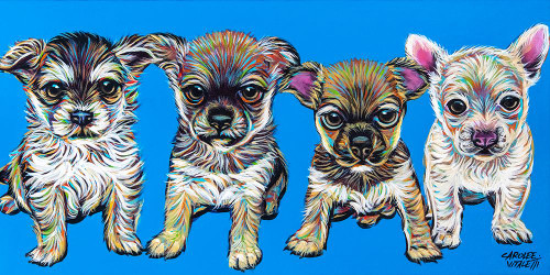 Chihuahua Pups Poster Print - Carolee Vitaletti