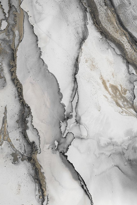 Abstract Ink Fantasy I Poster Print - Andrea Haase