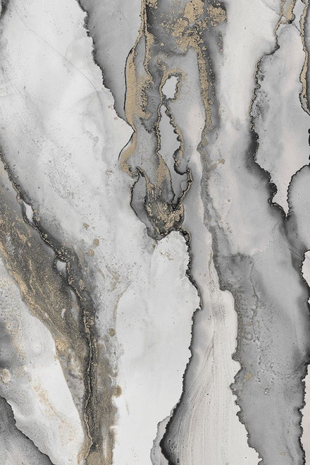 Abstract Ink Fantasy III Poster Print - Andrea Haase