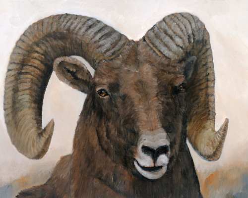The Horns Have It I Poster Print - Kathy Winkler