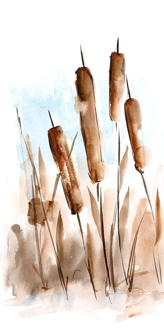 Watercolor Cattail Study II Poster Print - Ethan Harper