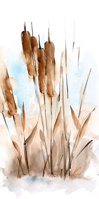 Watercolor Cattail Study I Poster Print - Ethan Harper