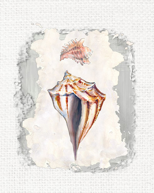 Textured Seashells IV Poster Print - Diannart