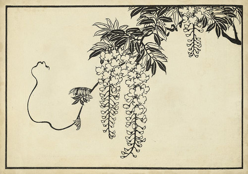 Japanese Wisteria I A Poster Print - Unknown
