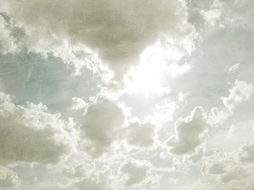 Sky Scrapers II Poster Print - Sharon Chandler