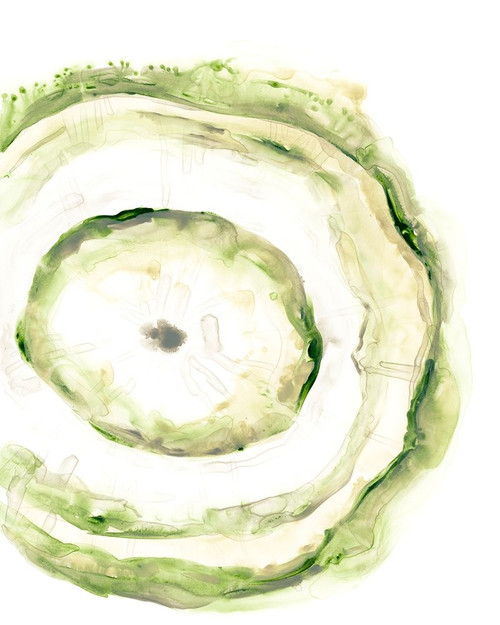 Lichen Halo III Poster Print - June Erica Vess