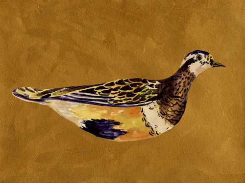 Feathered Friend II Poster Print - Melissa Wang