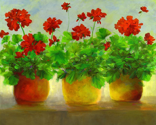 Geraniums III Poster Print - Sheila Finch