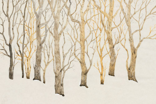 Bare Trees I Poster Print - Tim OToole