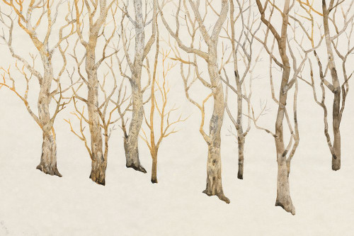 Bare Trees II Poster Print - Tim OToole