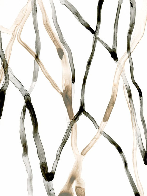 Runnel XII Poster Print - June Erica Vess