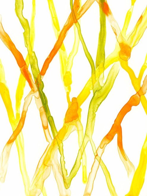 Runnel III Poster Print - June Erica Vess