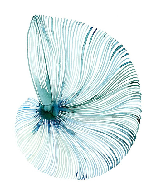 Eye of the Ocean I Poster Print - Grace Popp