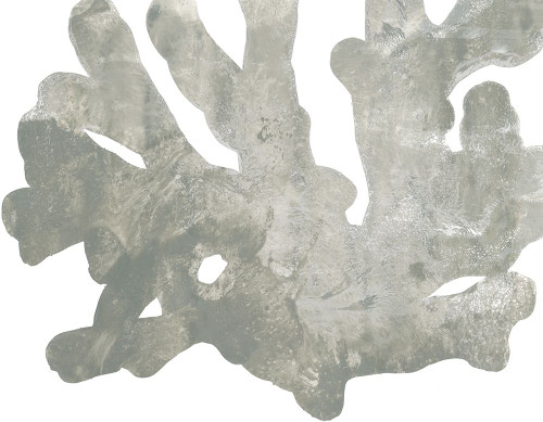 Stone Macro Coral IV Poster Print - June Erica Vess