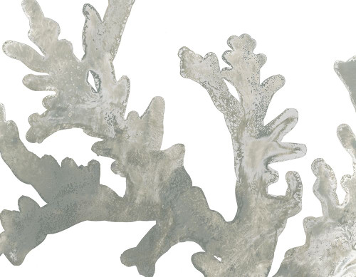 Stone Macro Coral II Poster Print - June Erica Vess