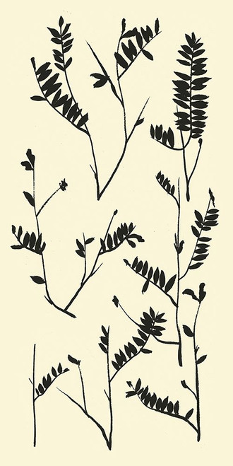 Feeling Wild I Poster Print - Melissa Wang