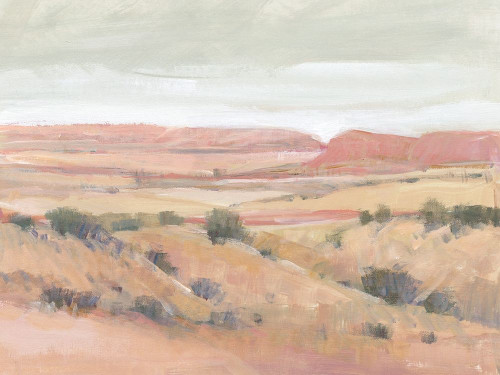 Southwest Landscape I Poster Print - Tim OToole