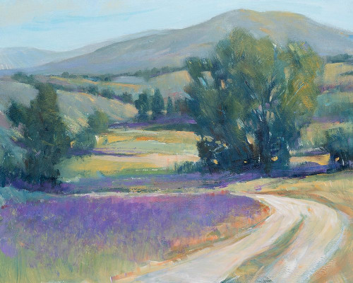 Lavender Meadow I Poster Print - Tim OToole