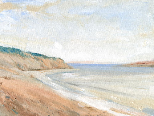 Shoreline Study I Poster Print - Tim OToole