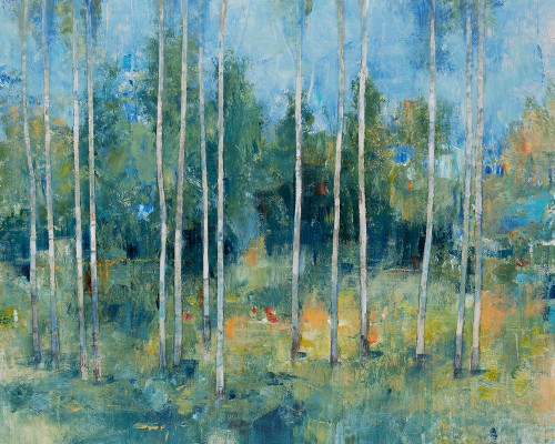 Woodland View I Poster Print - Tim OToole