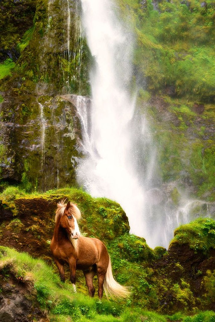 View At Rest VI Poster Print - PHBurchett