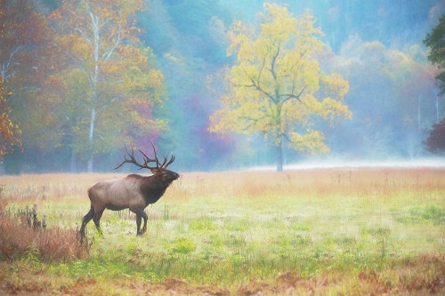 View At Rest IV Poster Print - PHBurchett