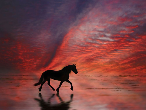 Wave Runners II Poster Print - PHBurchett