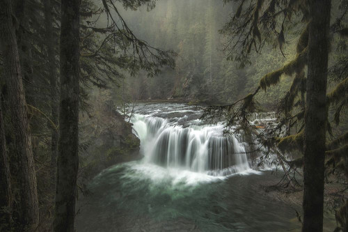 Misty Poster Print - Danny Head