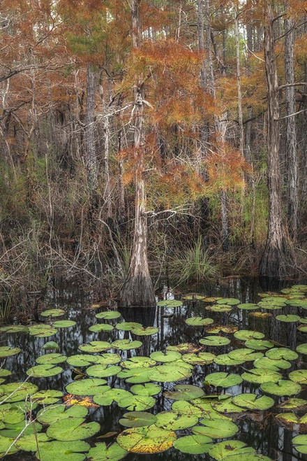Black Water I Poster Print - Danny Head