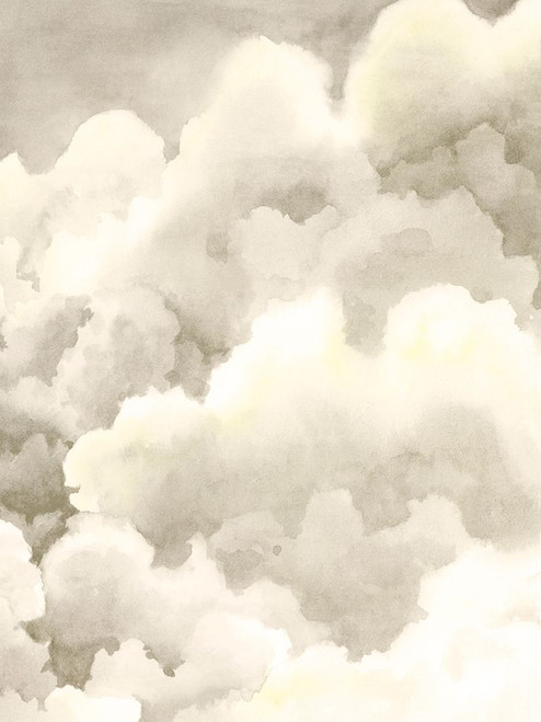 Storm Brew II Poster Print - Grace Popp