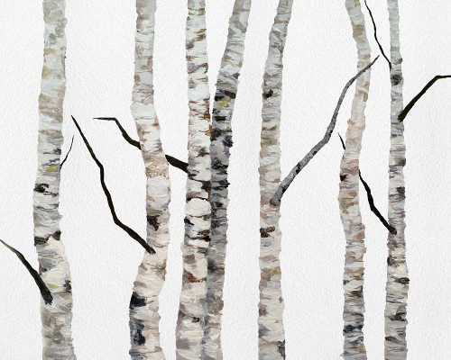 Birch Trees II Poster Print - Sheila Finch