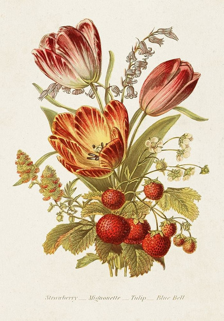 Antique Floral Bouquet IV Poster Print - Unknown