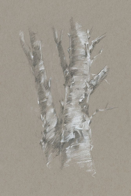 Chalk Birch Study I Poster Print - Ethan Harper