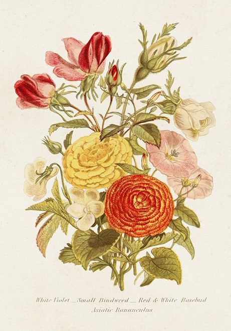 Antique Floral Bouquet I Poster Print - Unknown