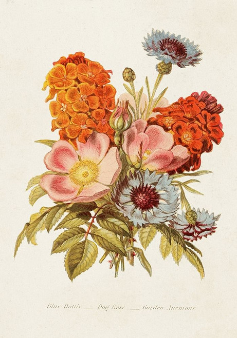 Antique Floral Bouquet II Poster Print - Unknown