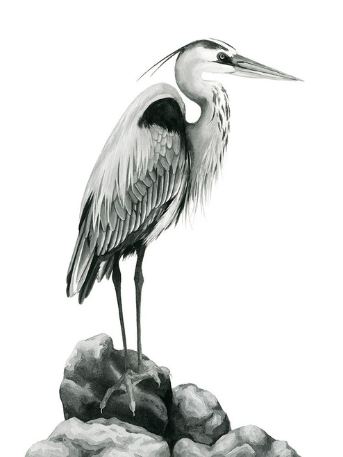 Shoreline Heron in BandW I Poster Print - Grace Popp