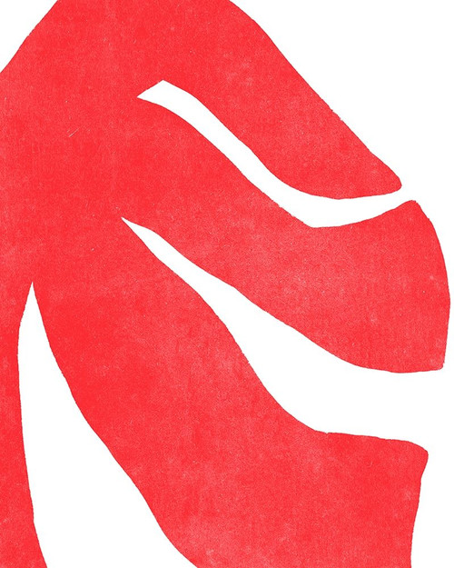 Color Cuts IX Poster Print - June Erica Vess